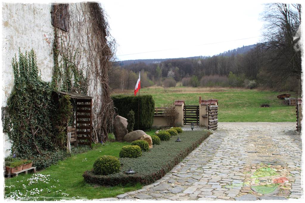 Świąteczne siedlisko 3