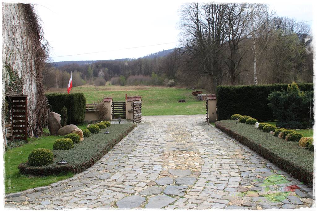 Świąteczne siedlisko 30