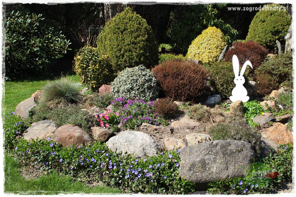 Świąteczne siedlisko 300