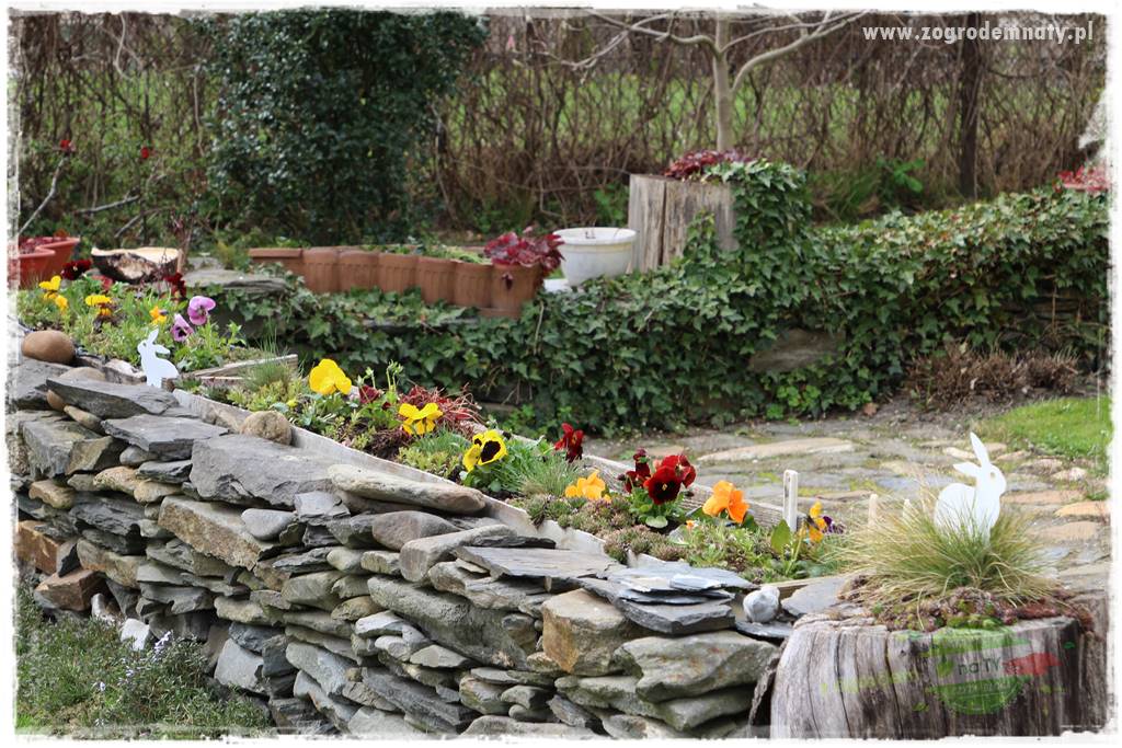 Świąteczne siedlisko 301