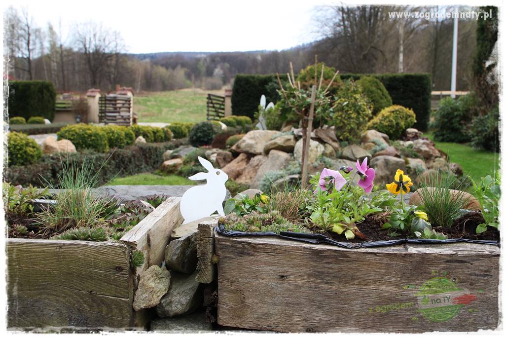 Świąteczne siedlisko 303