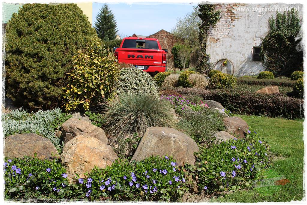 Świąteczne siedlisko 304