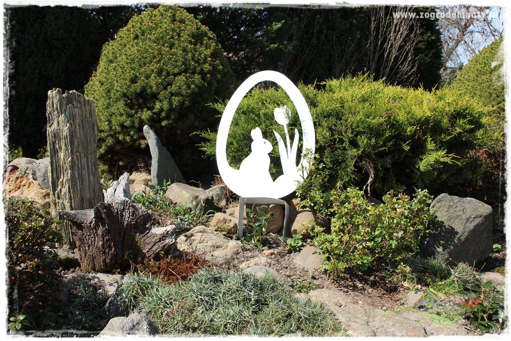 Świąteczne siedlisko 305