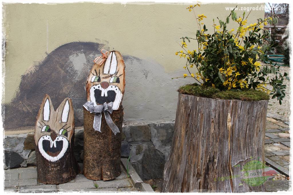 Świąteczne siedlisko 306