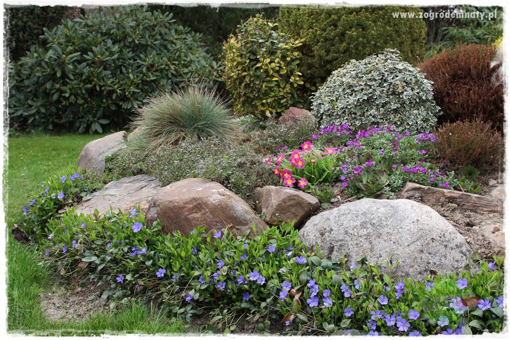 Świąteczne siedlisko 307