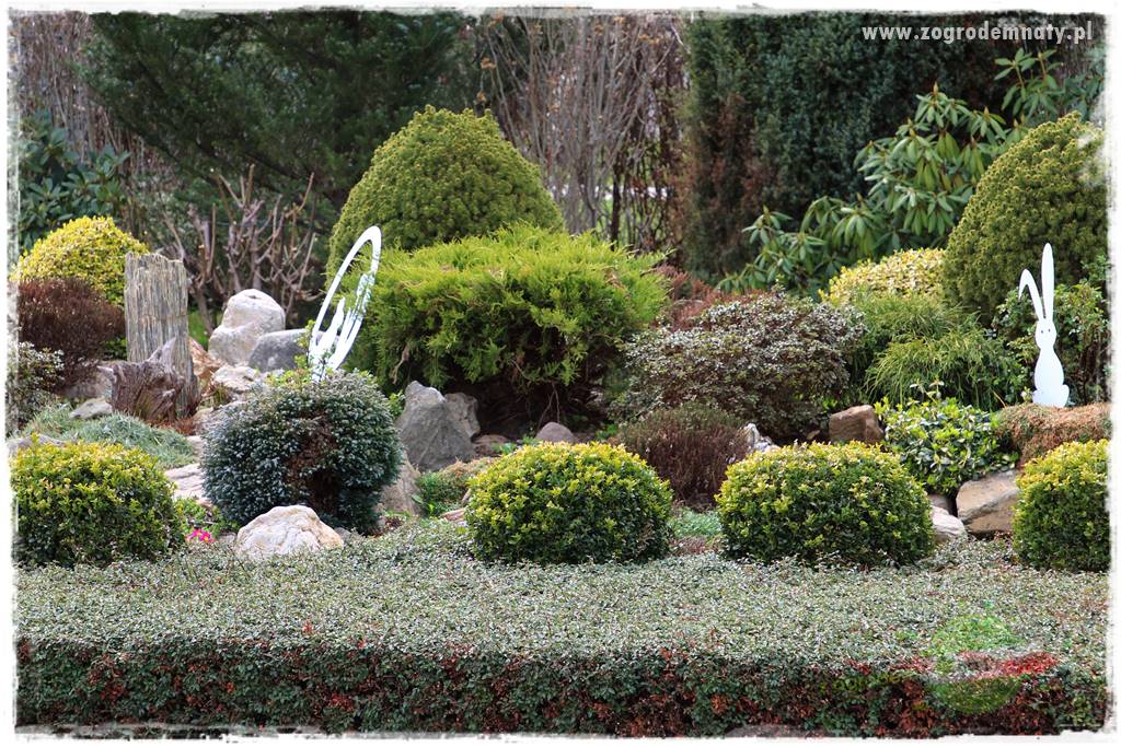 Świąteczne siedlisko 309