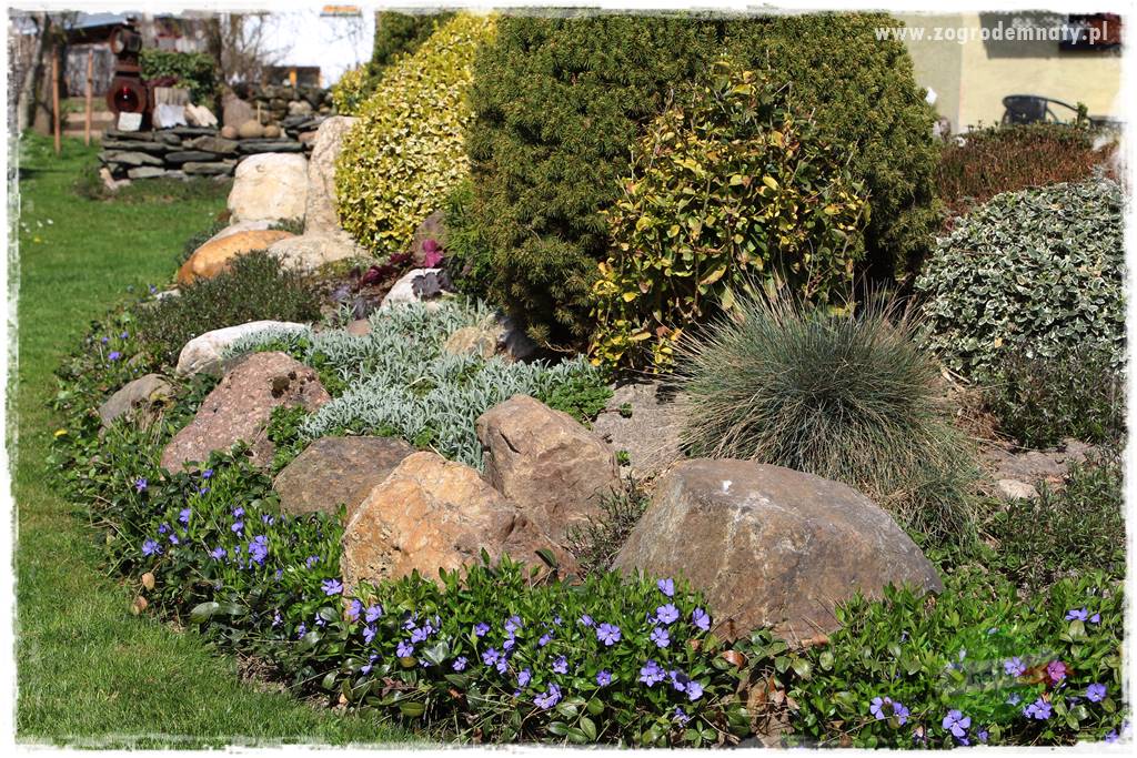 Świąteczne siedlisko 31