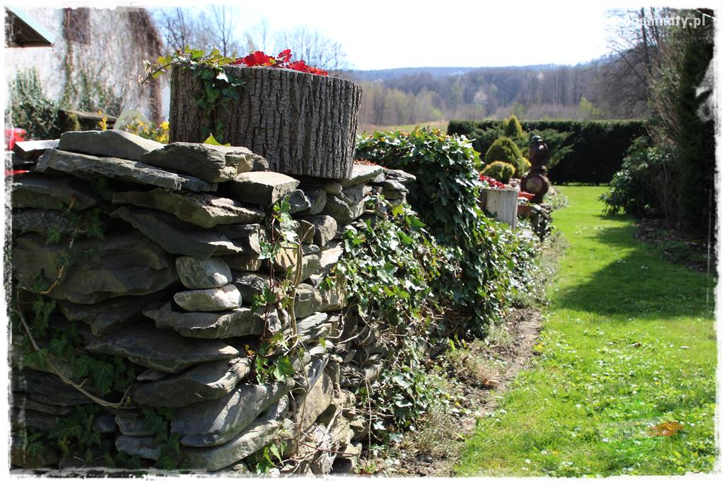 Świąteczne siedlisko 310