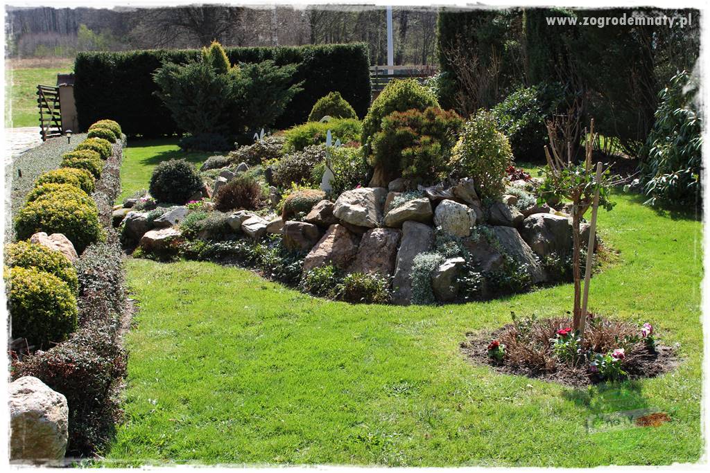 Świąteczne siedlisko 311