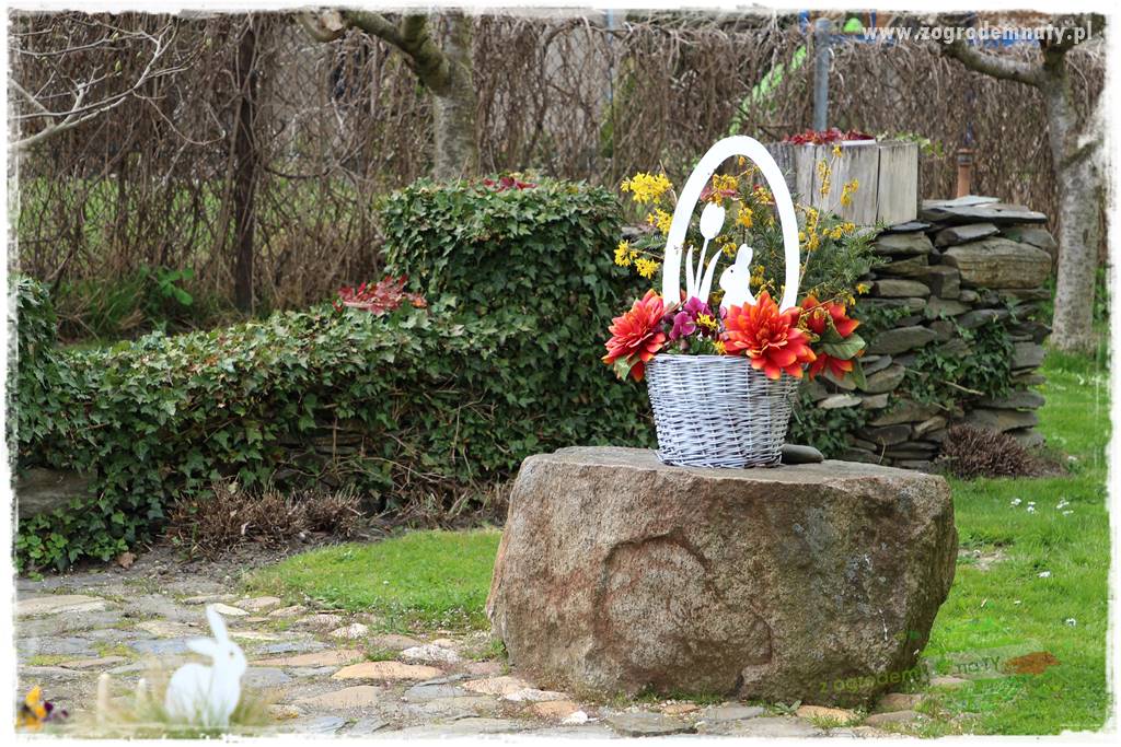 Świąteczne siedlisko 313