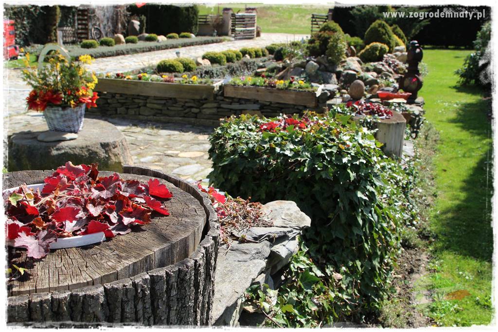 Świąteczne siedlisko 317