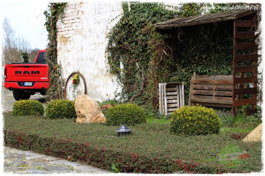 Świąteczne siedlisko 319