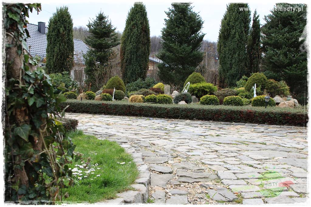 Świąteczne siedlisko 320