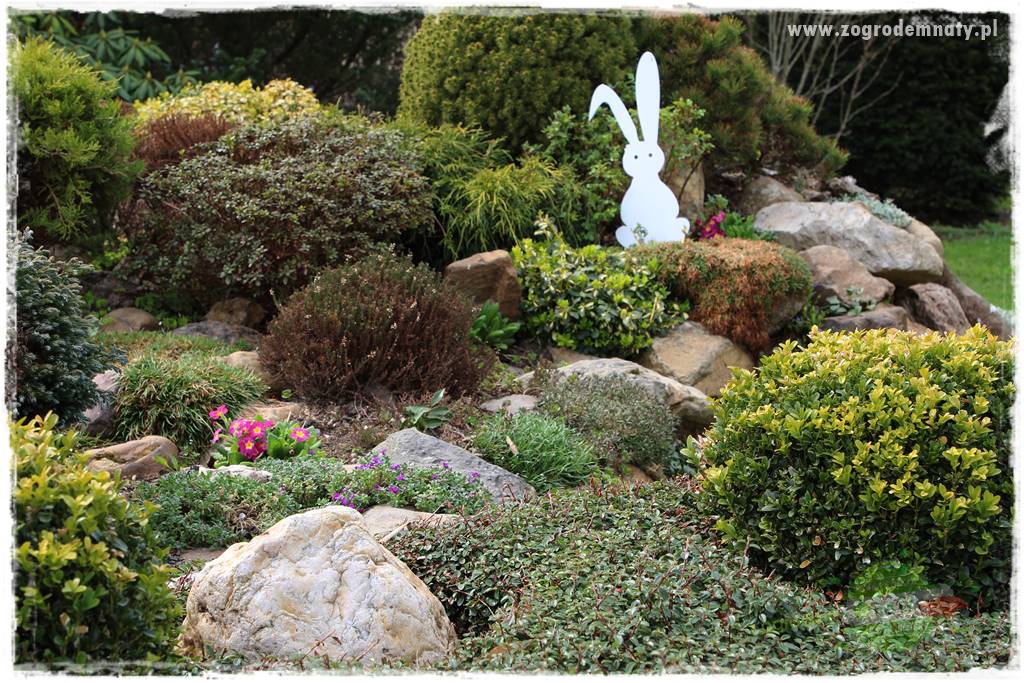 Świąteczne siedlisko 323