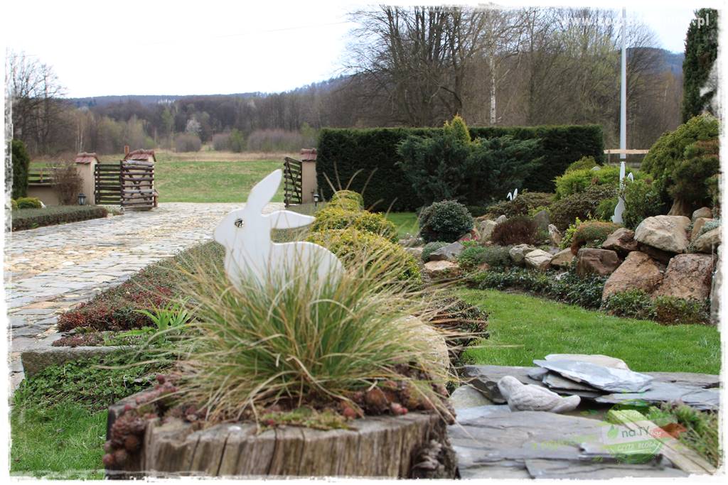 Świąteczne siedlisko 324