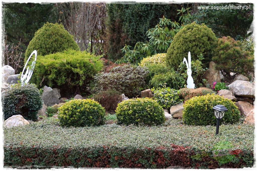 Świąteczne siedlisko 33