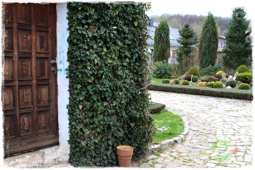 Świąteczne siedlisko 34