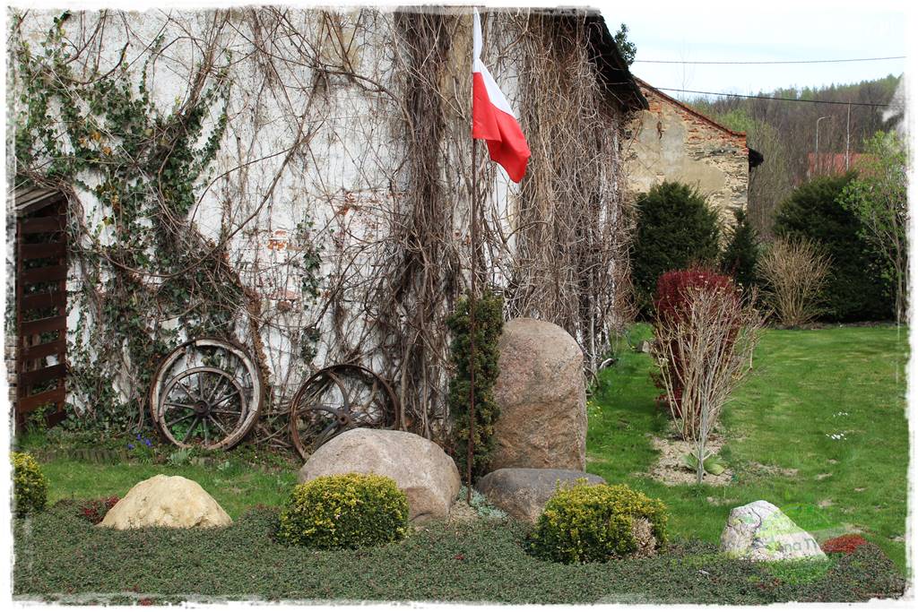 Świąteczne siedlisko 35