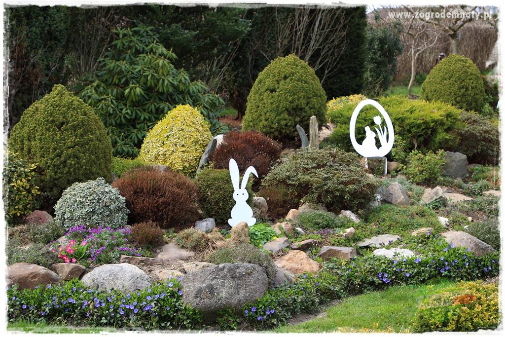 Świąteczne siedlisko 37