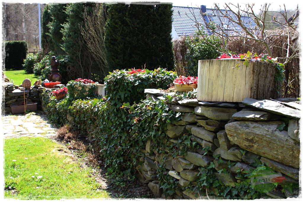 Świąteczne siedlisko 4