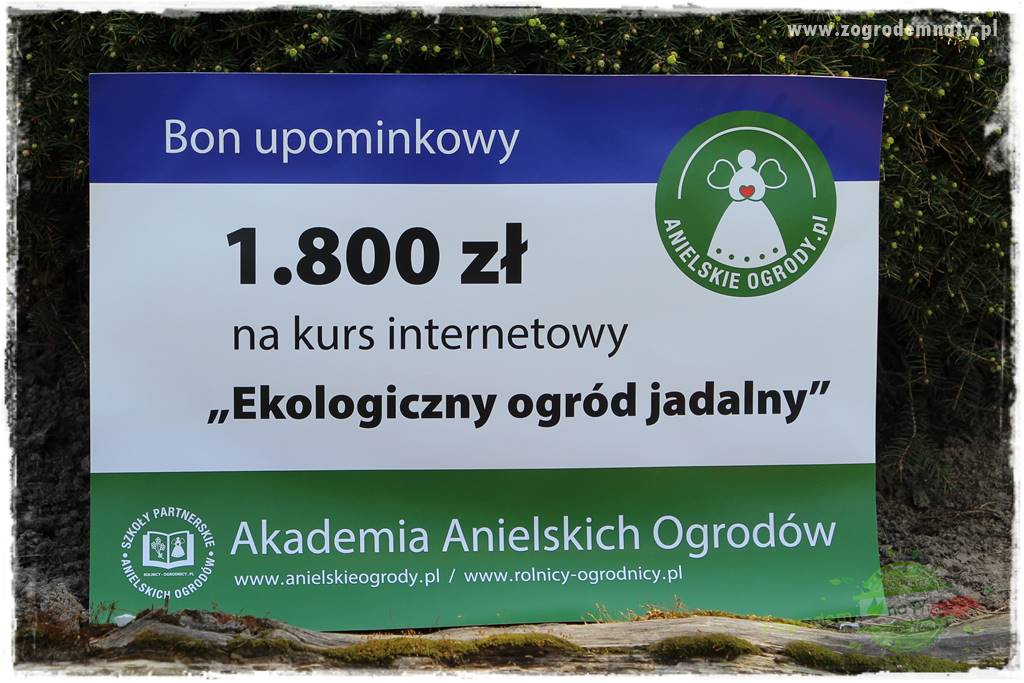 Świąteczne siedlisko 405