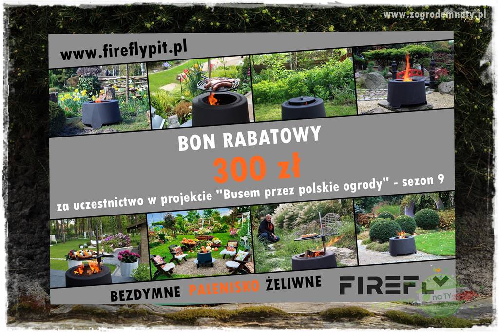 Świąteczne siedlisko 411