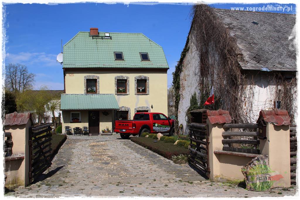 Świąteczne siedlisko 5