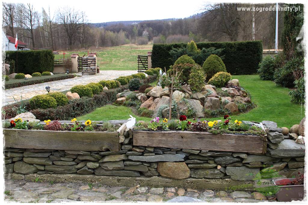 Świąteczne siedlisko 6