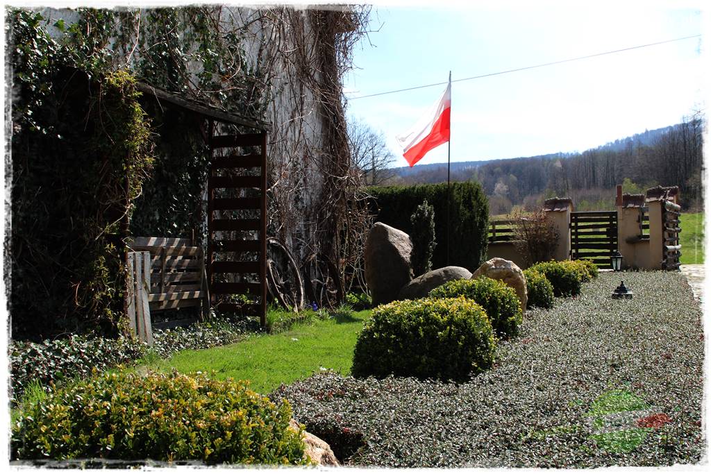 Świąteczne siedlisko 7