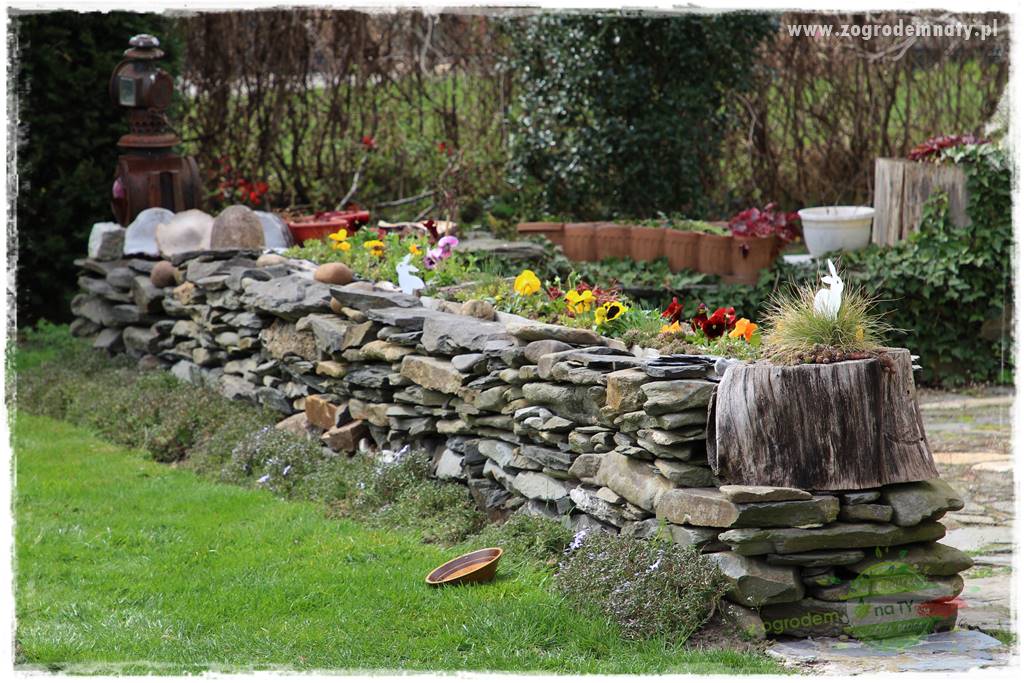 Świąteczne siedlisko 8