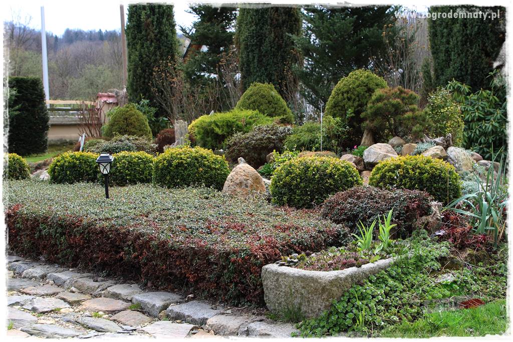 Świąteczne siedlisko 9