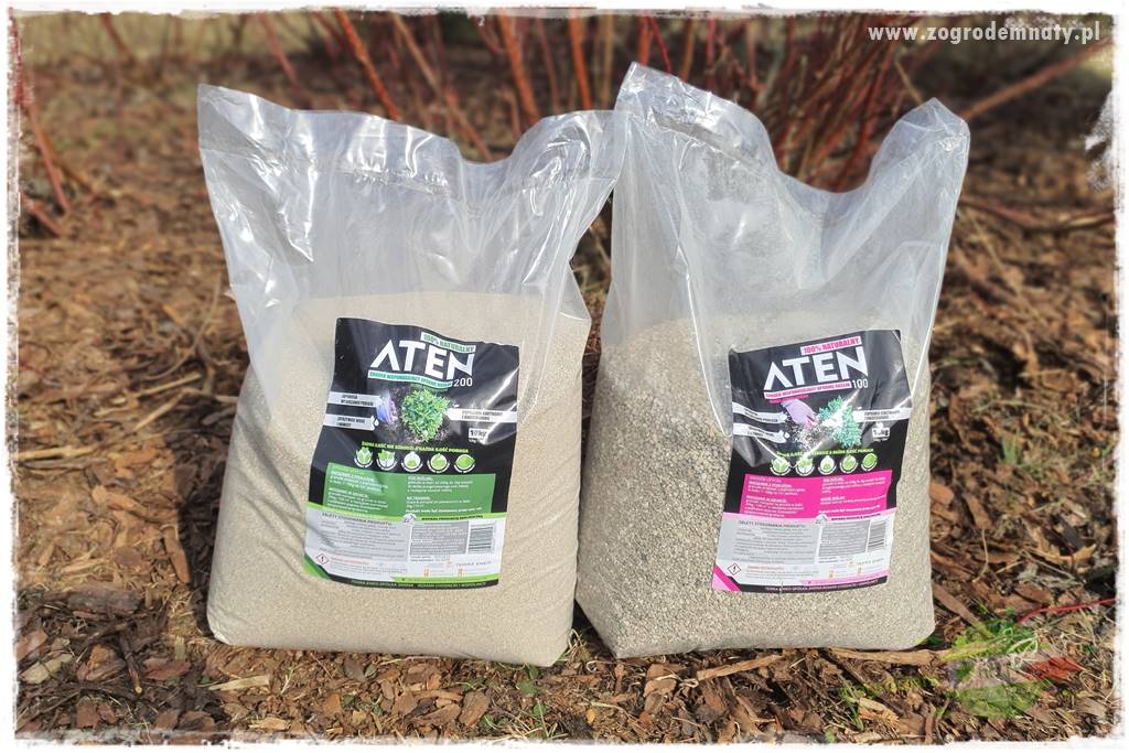 piękny trawnik bez podlewania 10