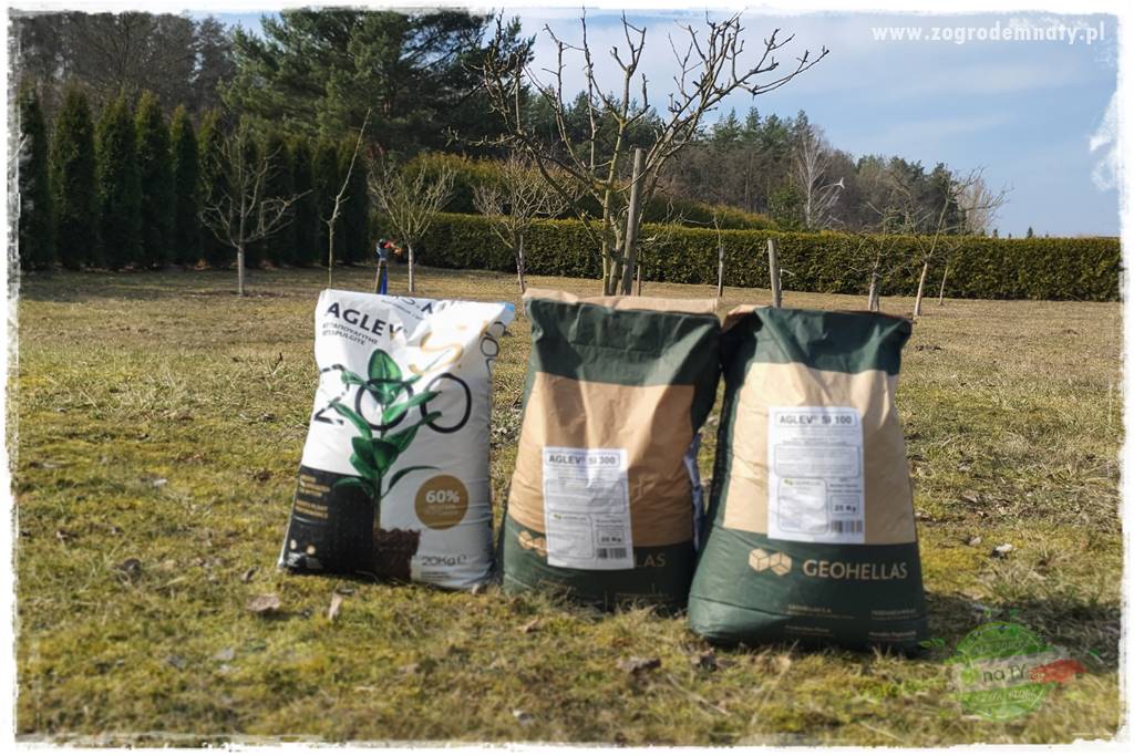 piękny trawnik bez podlewania 11