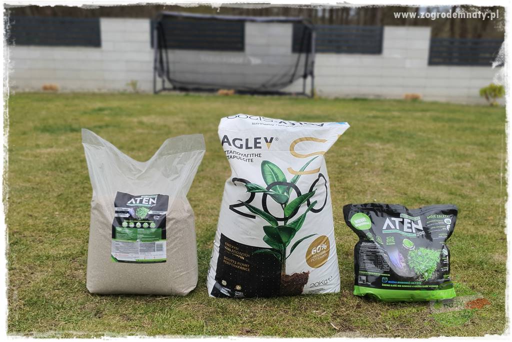 piękny trawnik bez podlewania 14