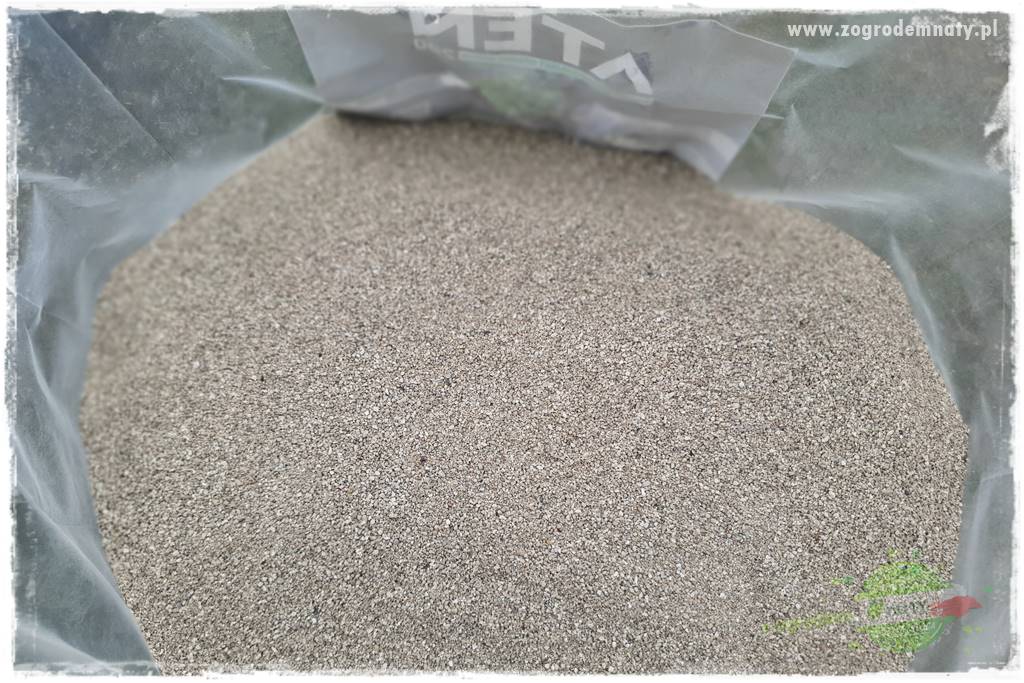 piękny trawnik bez podlewania 15