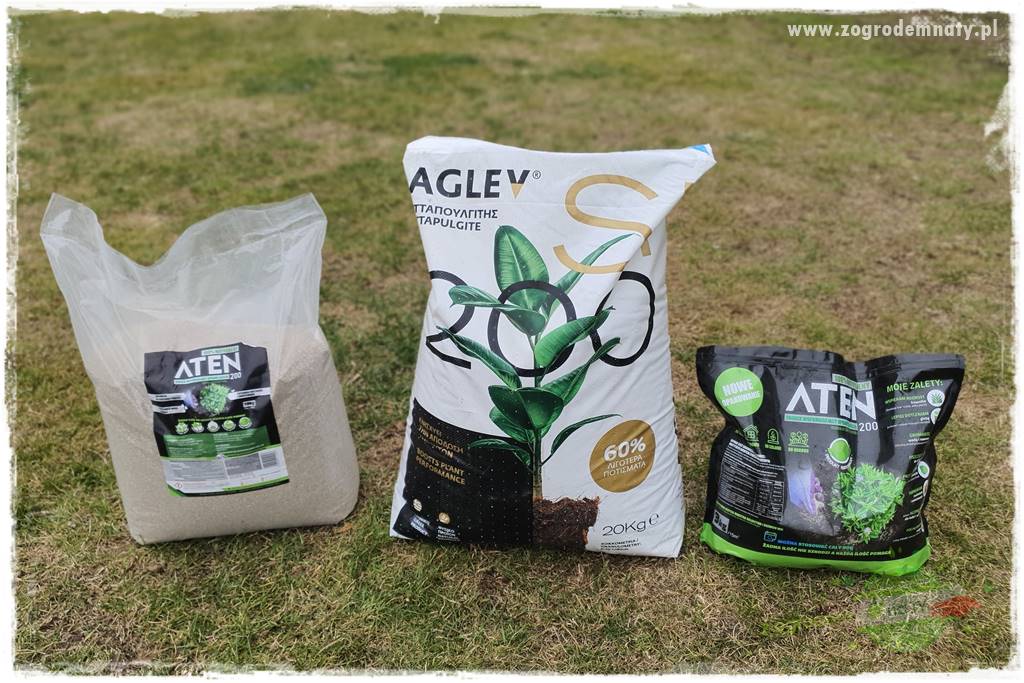 piękny trawnik bez podlewania 16