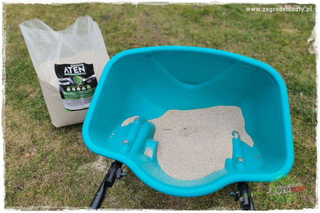 piękny trawnik bez podlewania 17