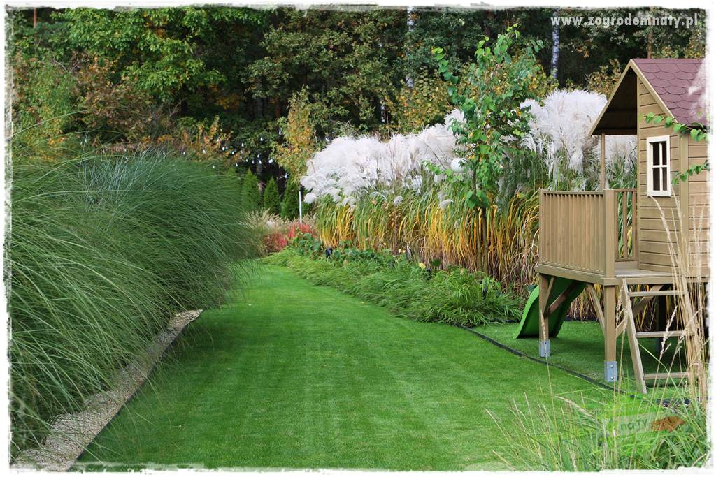 piękny trawnik bez podlewania 23a