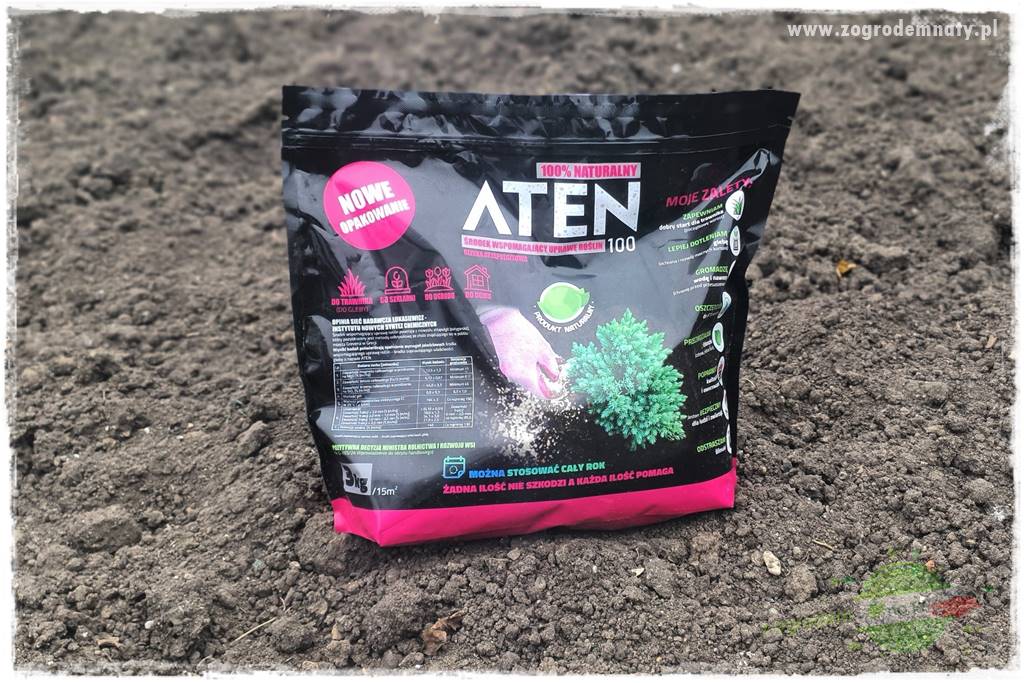 piękny trawnik bez podlewania 25