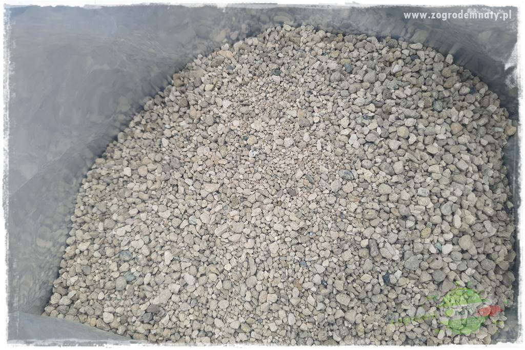 piękny trawnik bez podlewania 26