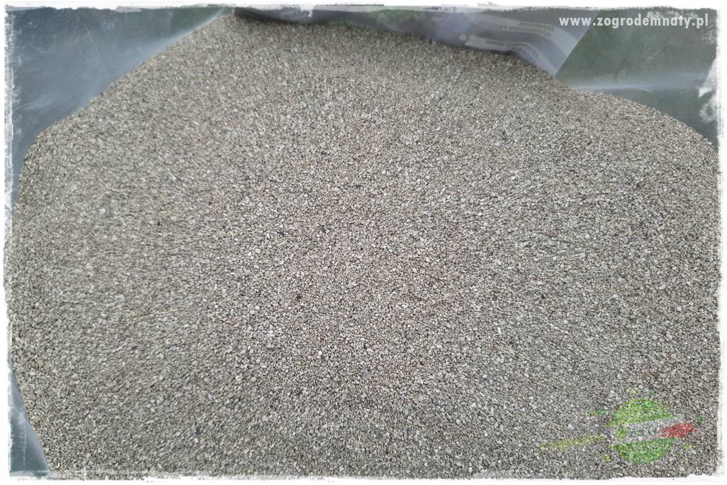 piękny trawnik bez podlewania 33