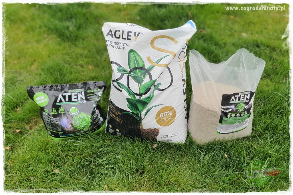 piękny trawnik bez podlewania 34