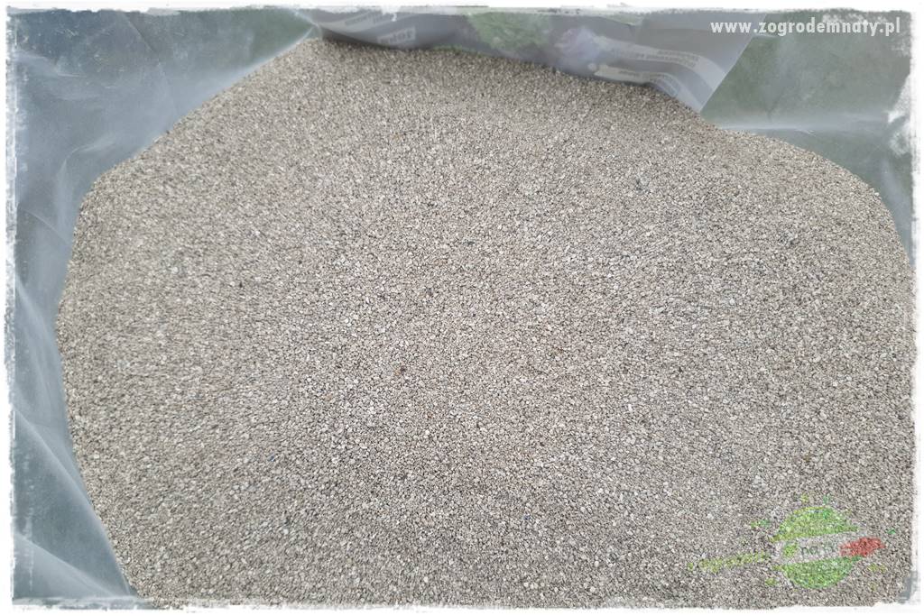 piękny trawnik bez podlewania 4