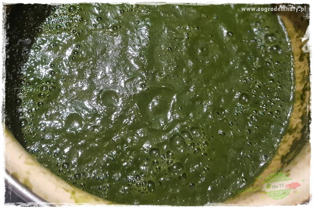 Biointensywna uprawa warzyw 35