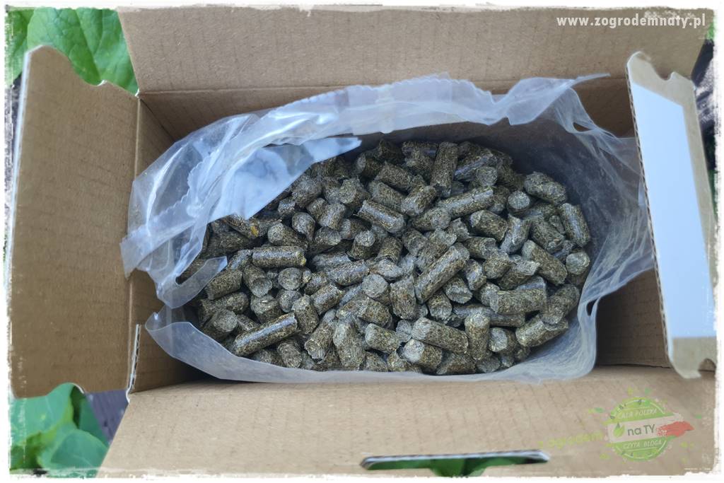 Biointensywna uprawa warzyw 41