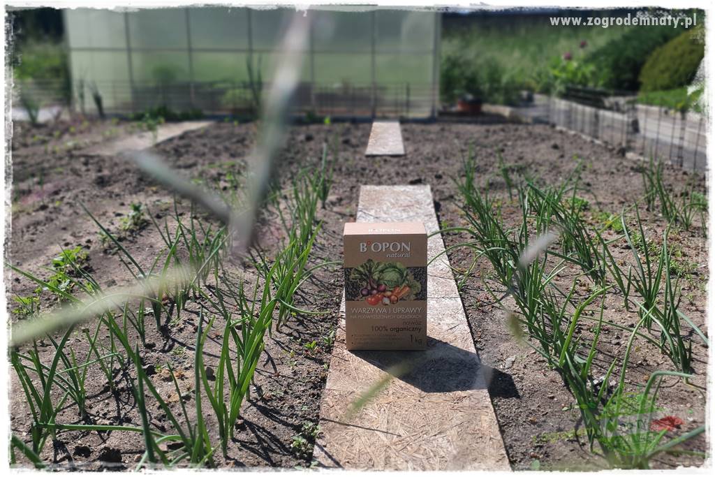 Biointensywna uprawa warzyw 42