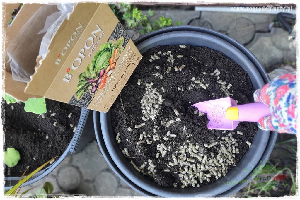 Biointensywna uprawa warzyw 46
