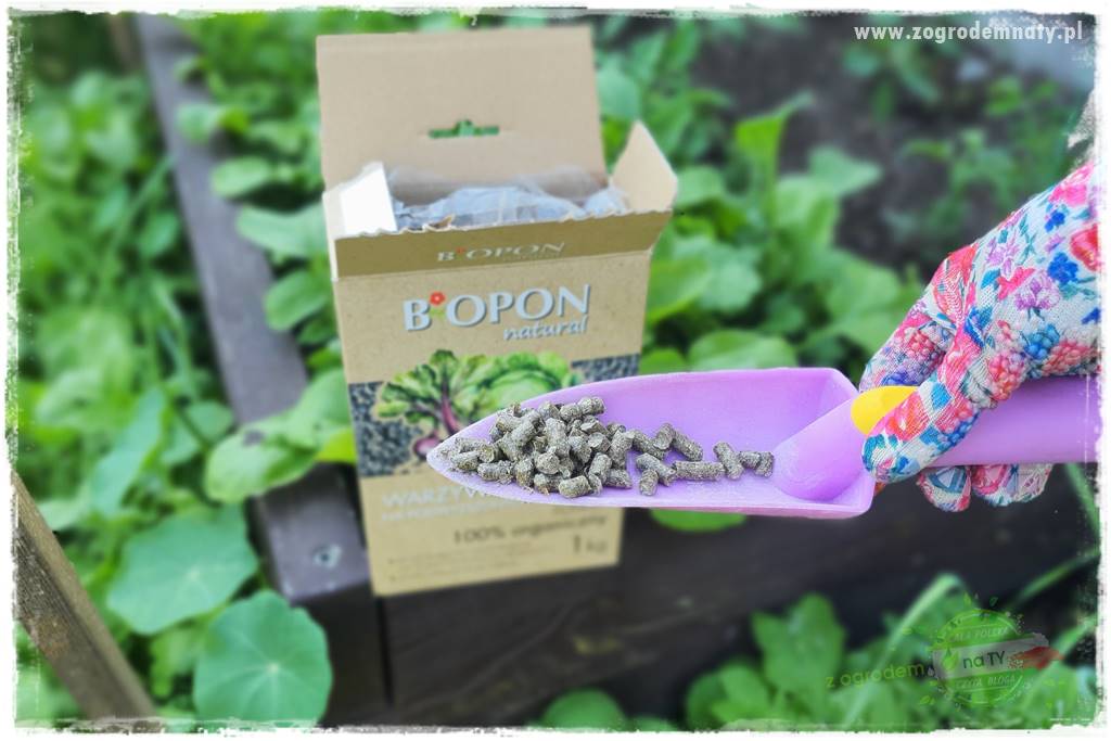 Biointensywna uprawa warzyw 47