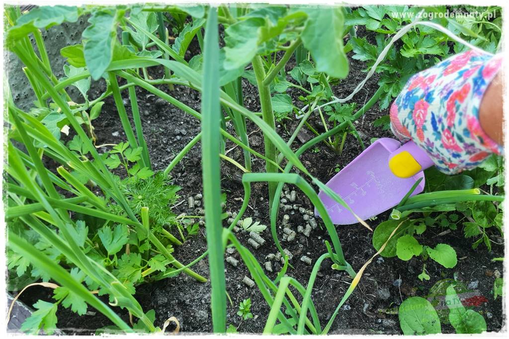 Biointensywna uprawa warzyw 48